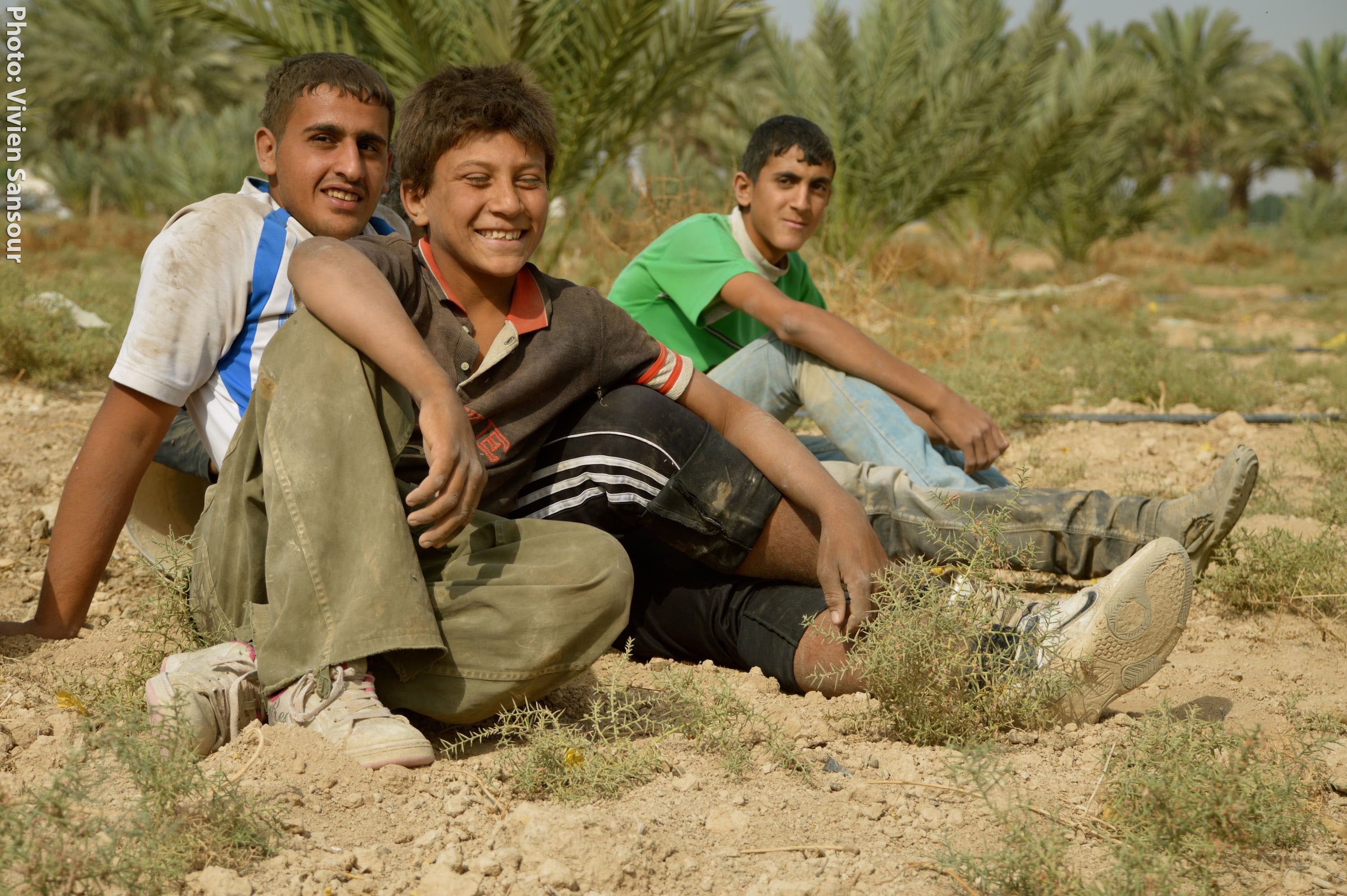 Palestinian Farmers: A Last Stronghold of Resistance