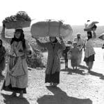 مقال - التركيز على: اللاجئون الفلسطينيون