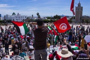 Article - Palestinian Answers in the Arab Spring
