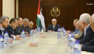 Article - Focus On: PLO and Palestinian Representation